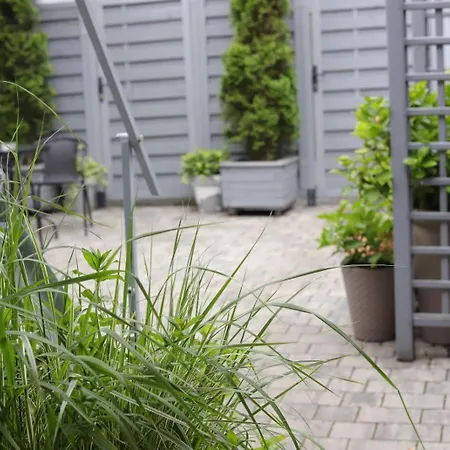 2 Mietowy Rumianek Daire *