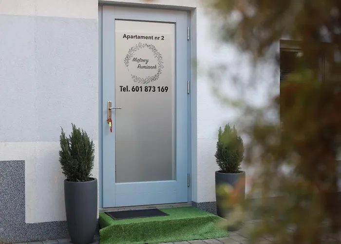 2 Mietowy Rumianek Daire Lwowek