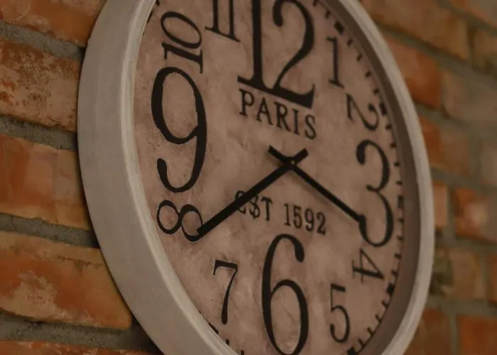 2 Mietowy Rumianek Daire *