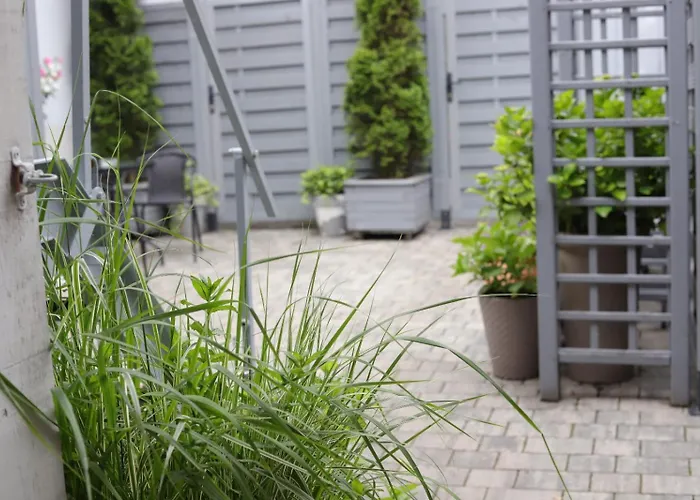 2 Mietowy Rumianek Daire *